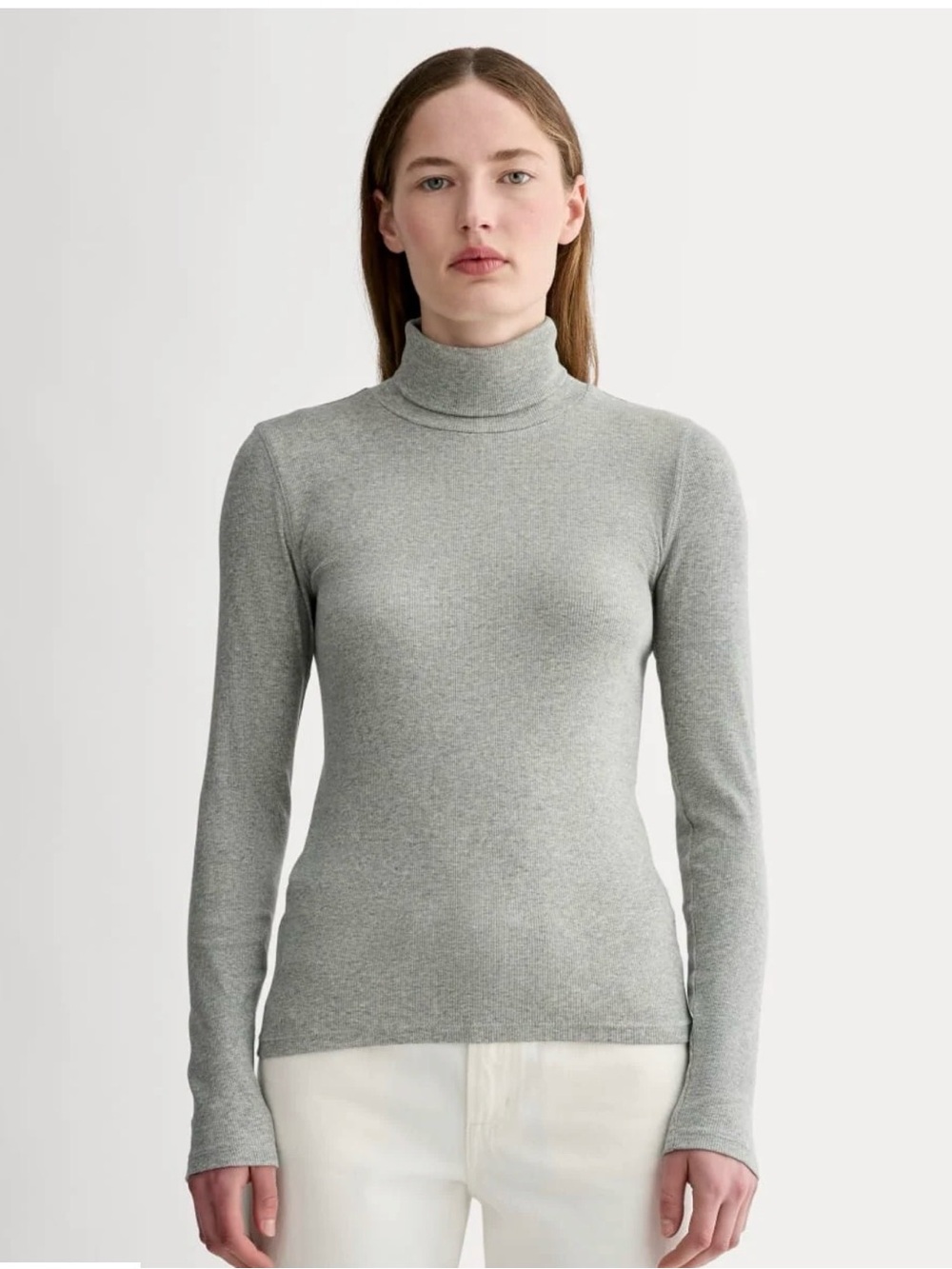 Everlane Slim Light Gray Turtleneck Long Sleeve Top